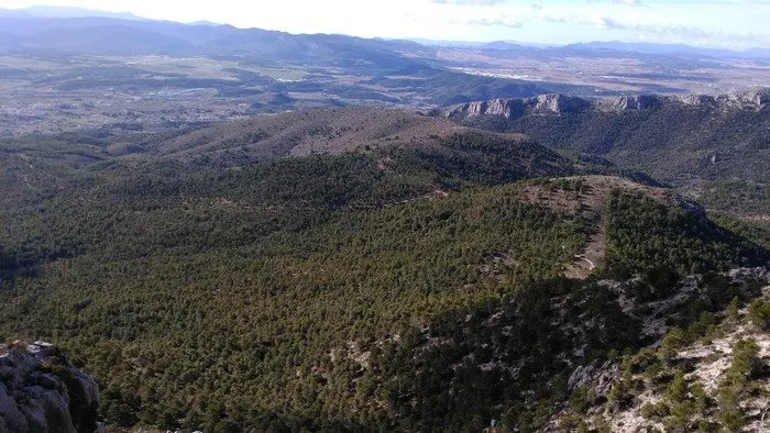 PR-MU 19 Ruta Pinar-Negro-Gavilán