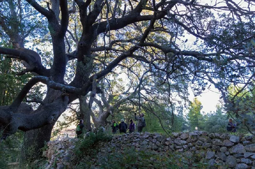 GR-7.1 Sendero de la Cruz – Moratalla → Caravaca de la Cruz