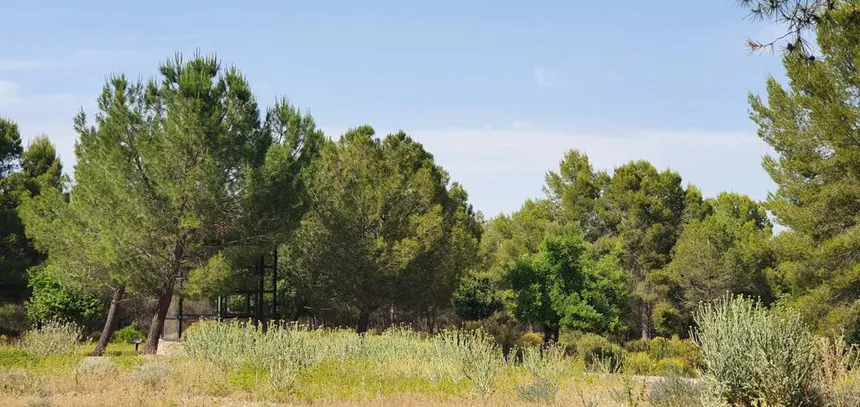 Ruta del Coto de las Maravillas