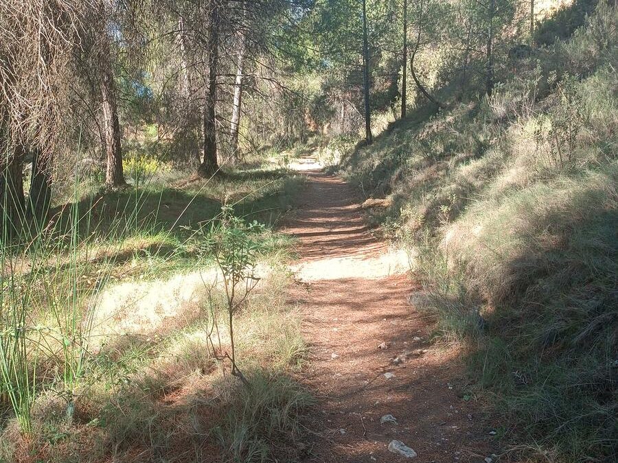 Ruta del Pasico