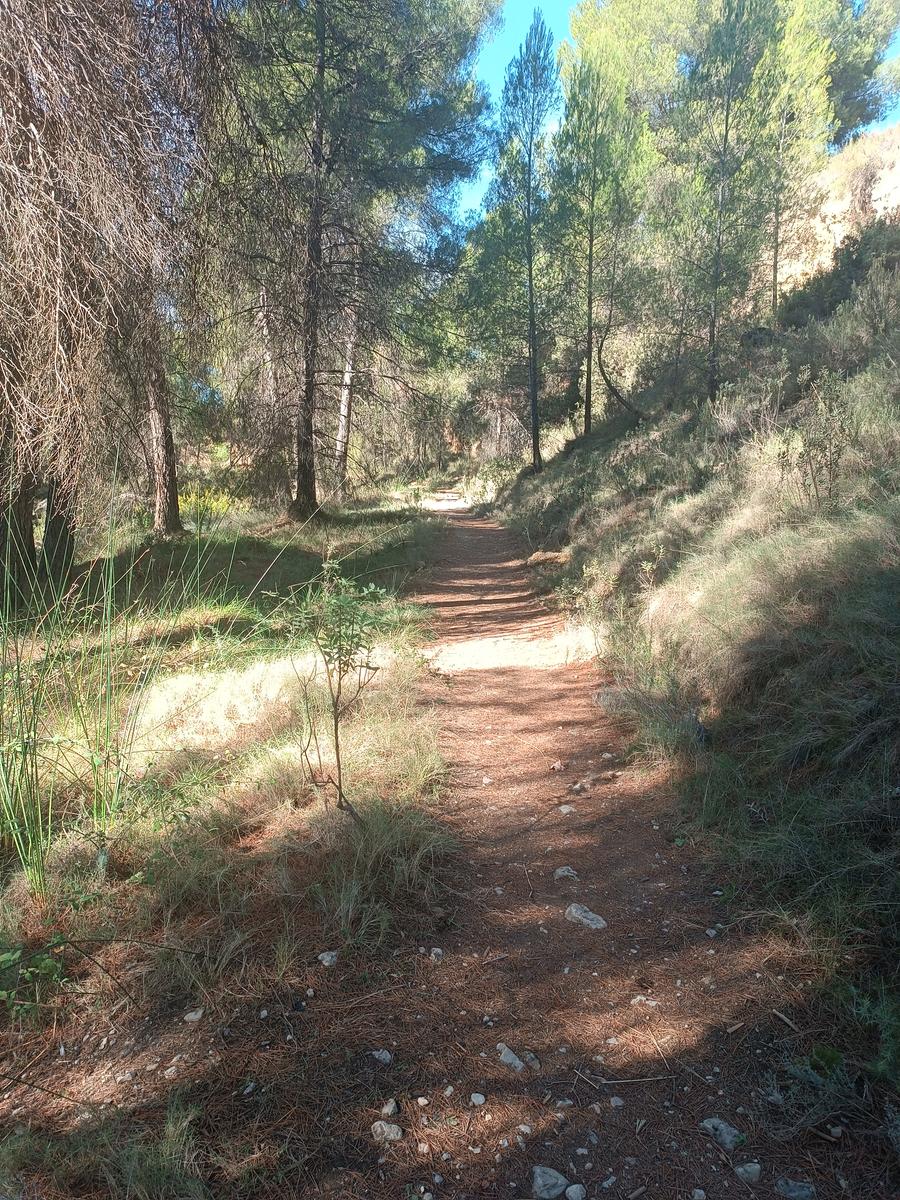 Ruta del Pasico