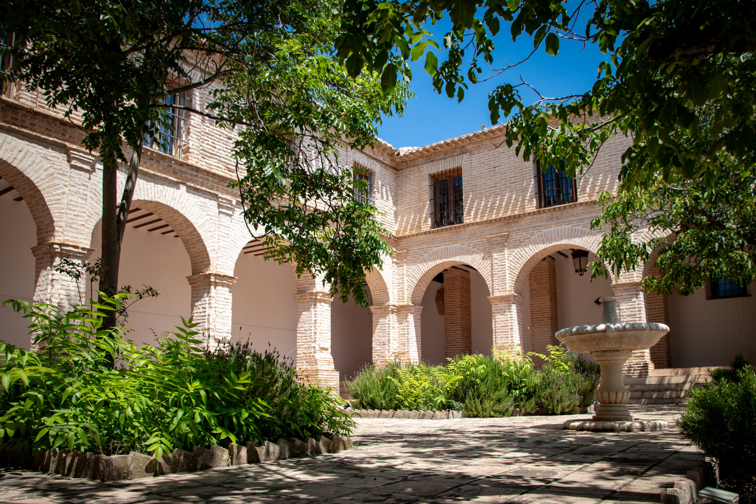 Viñedos Bullas
