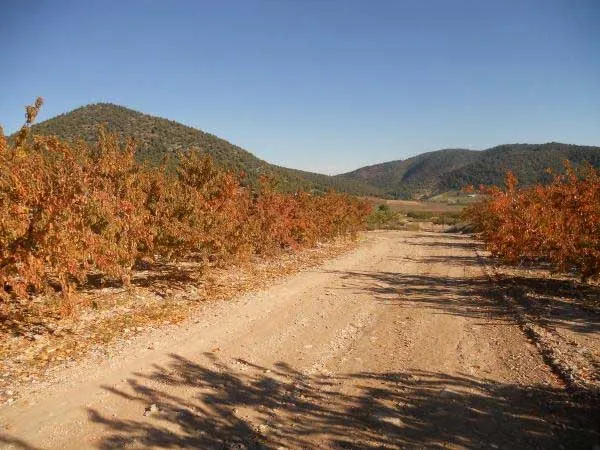 Sierra de Lavia – Pico Lavia, Morra Oscura y Cuchillos