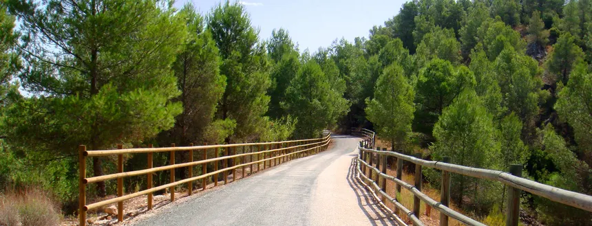 Ruta Saludable 10.000 Pasos Vía Verde