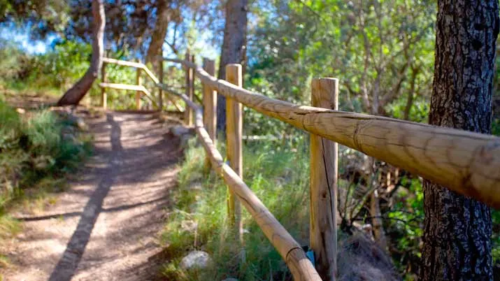 Barranco de la Regidora y Camino de los Árboles del Amor