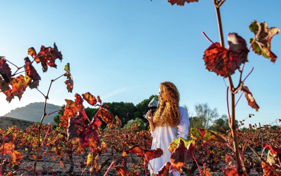 Visita 17 bodegas en plena naturaleza en la Región de Murcia