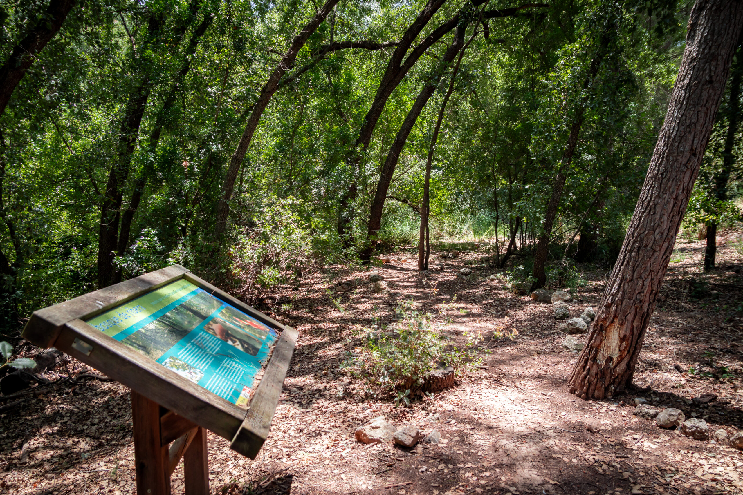 Barranco de la Regidora