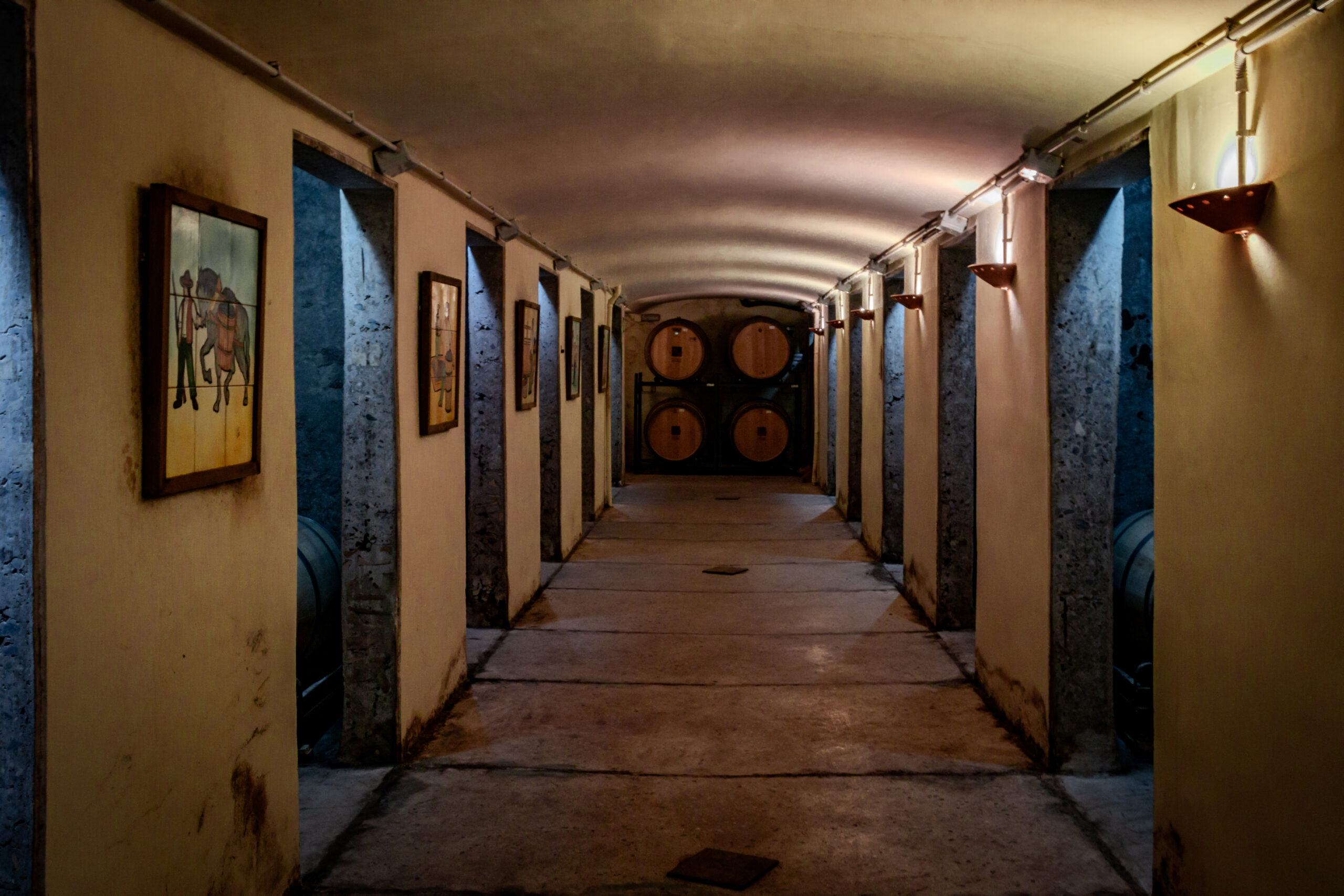 Bodega del Rosario - Imagen 1