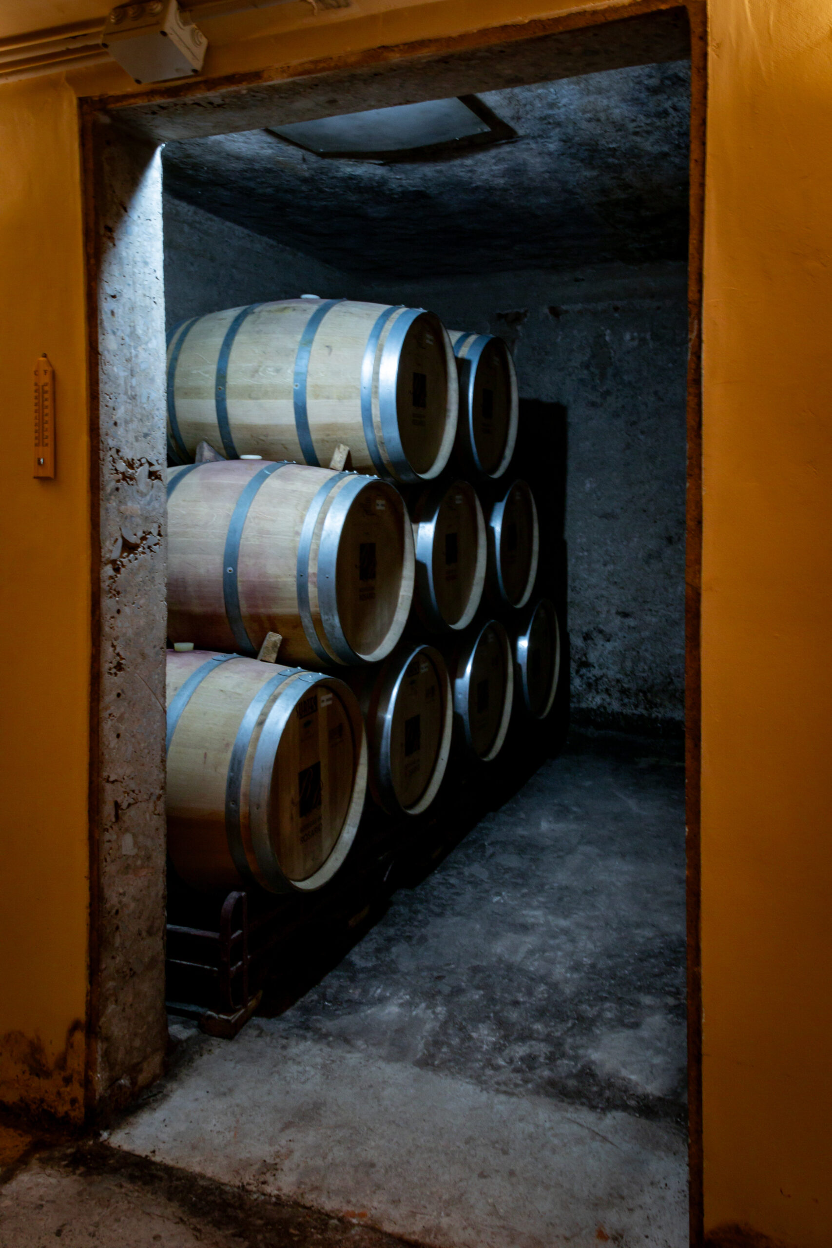 Bodega del Rosario - Imagen 3