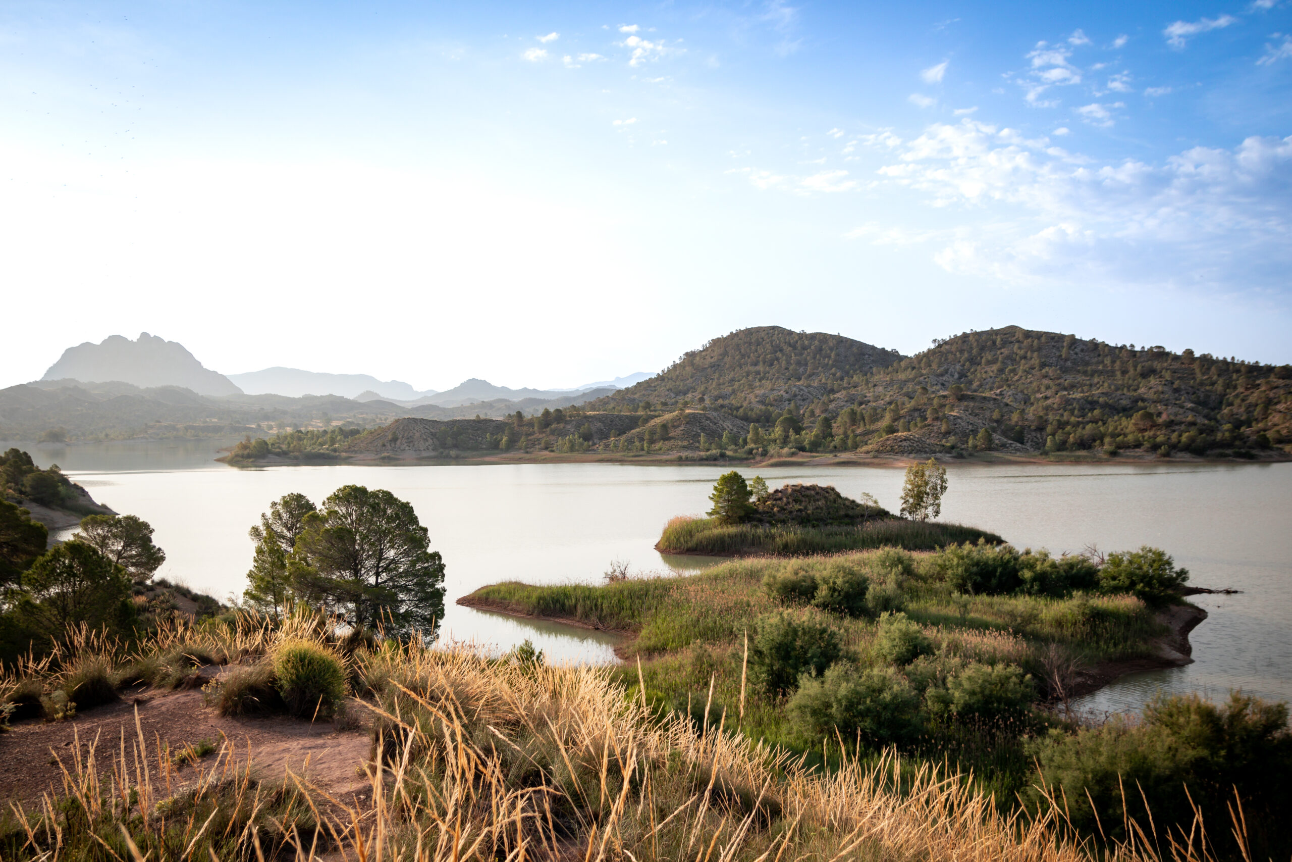 Pantano de Alfonso XIII - Imagen 1