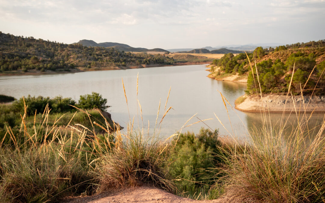 Pantano de Alfonso XIII