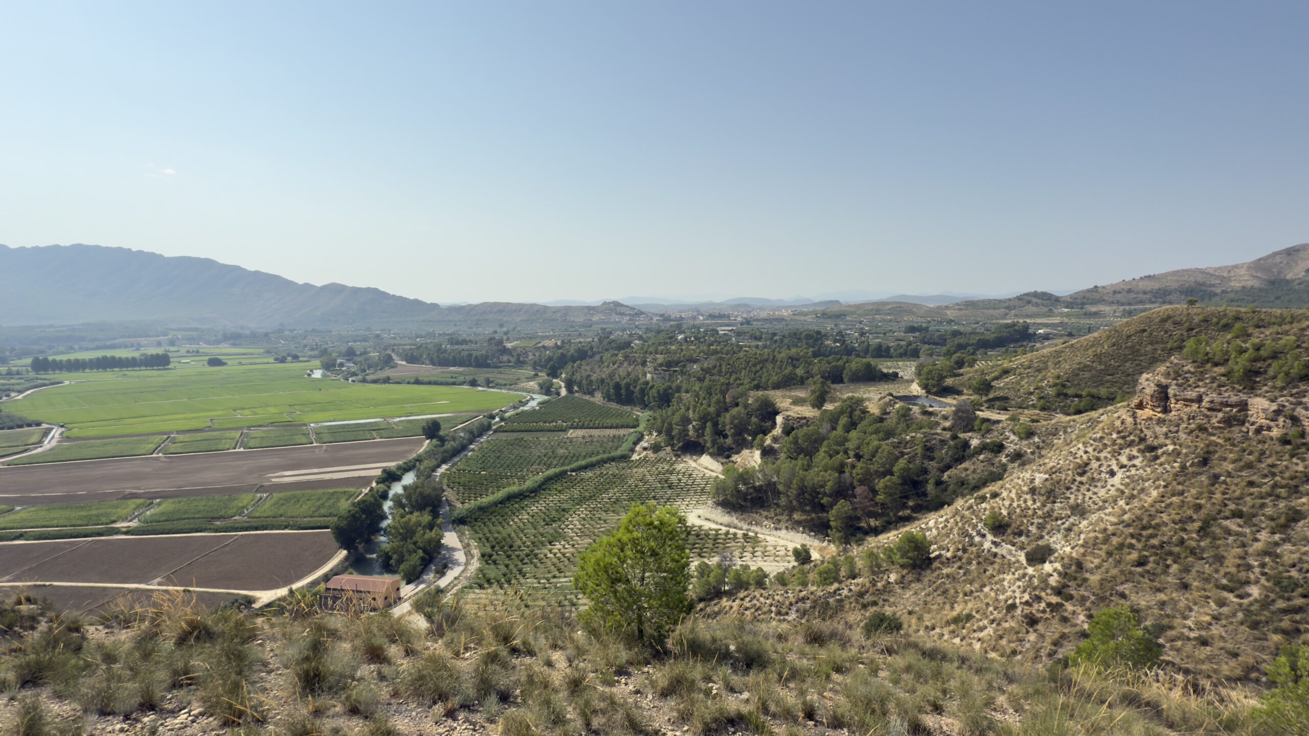 Campos de arroz con D.O. Calasparra - Imagen 3