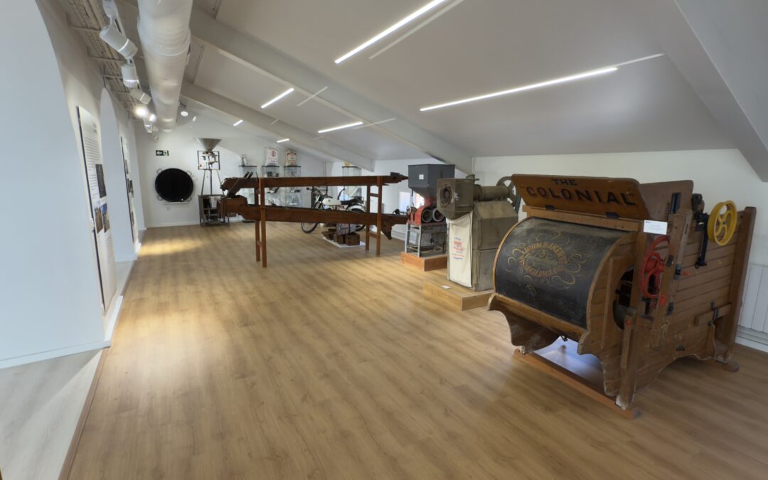 Museo de la Villa (Arqueológico, Arroz y Fundación P. Piñero)